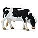 Friesian Bull - Foto miniatura 1