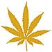 Marijuana - Maria - Adesivo Prespaziato - Colore Oro - 20cm - Foto miniatura 1