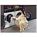 I-Pro Series 7 Plus HW90-BD14979U1 lavatrice Caricamento frontale 9 kg 1400 Giri /min Bianco - Foto miniatura 11