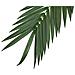 Coconut King Palm Branch, Artificial, 210cm - Foto miniatura 3