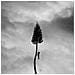 Manchester Orchestra - A Black Mile To The Surface (2 Lp)  - Foto miniatura 1