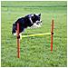 Kit Allenamento Agility Per Cani Rosso 80758 - Foto miniatura 2