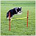 Kit Allenamento Agility Per Cani Rosso 80758 - Foto miniatura 4