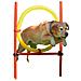 Kit Allenamento Agility Per Cani Rosso 80758 - Foto miniatura 3