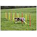 Kit Allenamento Agility Per Cani Rosso 80758 - Foto miniatura 7