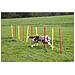 Kit Allenamento Agility Per Cani Rosso 80758 - Foto miniatura 8
