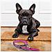 Guinzaglio Per Cani Rosa - Foto miniatura 3