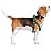 Imbracatura Per Cani Grigio Xs /s - Foto miniatura 6