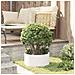 Vasi da giardino 5 pcs Bianco 40 x 40 x 20 cm Acciaio - Foto miniatura 4