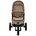 Passeggino Grigio Talpa In Acciaio - Foto miniatura 2