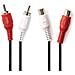 CAGB24205BK50 cavo audio 5 m 2 x RCA Nero - Foto miniatura 1
