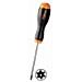 Giraviti RTX Tamper-Resistant Torx 5 x 100 mm 1208RTX T25 - Foto miniatura 1