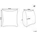 Set Di 2 Cuscini Rockweed Cotone 45 X 45 Cm Blu Trama Floreale - Foto miniatura 5