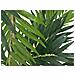 Parlor Palm, Artificial Plant, 150cm - Foto miniatura 2