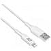 Ac3012 Cavo Lightning 2 M Wit - Foto miniatura 1