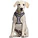 Imbracatura Per Cani Grigio Xs /s - Foto miniatura 2