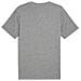 Ess Small No. 1 Logo Tee 68253403, Uomini, Grigio, Xxl - Foto miniatura 2