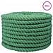 Corda di Cotone 20 mm 100 m Verde 100% Cotone - Foto miniatura 3