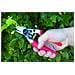 , Cesoia Dal Giardinaggio E Da Frutticoltura Numero 12 - Foto miniatura 2