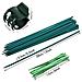 Kit Di Supporto Per Piante - 38cm, 20 Pali, 40 Clip - Foto miniatura 2