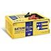 Caricabatterie Batium 15-24 35-225 Ah 450 W 7/10/15 A - Foto miniatura 1