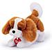 Cavalier King Marley - Foto miniatura 1