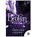 Francesco Falconi - Broken Wings - Foto miniatura 1