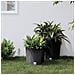 Fioriera Con Interno Rimovibile Antracite 15 / 15,3 L Pp Rattan - Foto miniatura 1