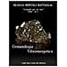 Silvana Bertoli Battaglia - Gemmologia vibroenergetica. Fondamenti di cristalloterapia vibroenergetica - Foto miniatura 1