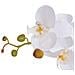 Orchidea Artificiale Con Vaso 65 Cm Bianca - Foto miniatura 2