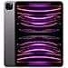 iPad Pro 11 (2022) 256 GB 11" Wi-Fi Grigio Siderale - Foto miniatura 1