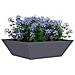 Vaso a Ciotola da Giardino Antracite 50 x 50 x 15 cm Acciaio - Foto miniatura 3