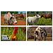 PC - Farming Simulator 2017 Platinum Edition - Foto miniatura 4