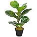 Pianta Artificiale Di Ficus Lyrata Con Vaso Verde 45 Cm - Foto miniatura 1
