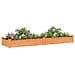 Fioriera Giardino Con Fodera Marrone 240x60x25cm Massello Abete - Foto miniatura 3