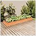 Fioriera Giardino Con Fodera Marrone 240x60x25cm Massello Abete - Foto miniatura 1