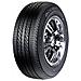 Eco Plush 195/60 R15 60 15" 195mm All-season - Foto miniatura 1