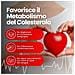 Colesterolo Di Riso Rosso Fermentato - 2,9 Mg Di Monacolina K, Coq10, Caigua, Y-orizanolo, Policosanolo, Cromo - 90 Compresse - Foto miniatura 2