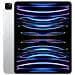 iPad Pro 12.9 (2022) 1 TB 12.9" Wi-Fi - 5G Argento - Foto miniatura 1