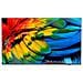TV LED Ultra HD 4K 43" 43HFL6214U / 12 Android TV - Foto miniatura 1
