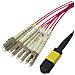 MPO12LC-42 cavo InfiniBand e in fibra ottica 2 m MPO-12 2x LC MPO /UPC Rosso - Foto miniatura 1