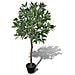 Albero Di Alloro Artificiale Con Vaso 120 Cm - Foto miniatura 1
