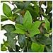 Philodendron Albero Artificiale Amico Piante Artificiali Verde 48cm
