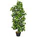 Albero Di Alloro Artificiale Con Vaso Verde 120 Cm - Foto miniatura 1