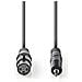 COTH15320GY10 cavo audio 1 m XLR (3-pin) Grigio - Foto miniatura 3