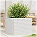 Fioriera Da Giardino Bianca 60x60x45,5cm Legno Massello Di Pino - Foto miniatura 1