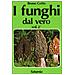 Bruno Cetto - I funghi dal vero. Vol. 2 - Foto miniatura 2