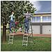Scala Multifunzione A 3 Sezioni Profistep 263 Cm 7309-007 - Foto miniatura 6