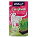 Cat Grass Erba Per Gatti - Foto miniatura 2