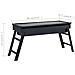 Griglia Barbecue Da Campeggio Portatile In Acciaio 60x22,5x33cm - Foto miniatura 9